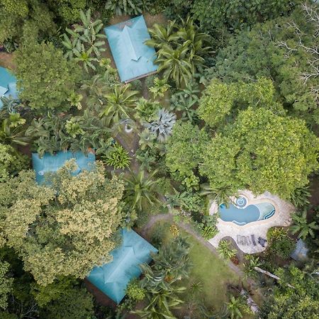El Nido Jungle Lodge Puerto Viejo de Talamanca Exterior foto