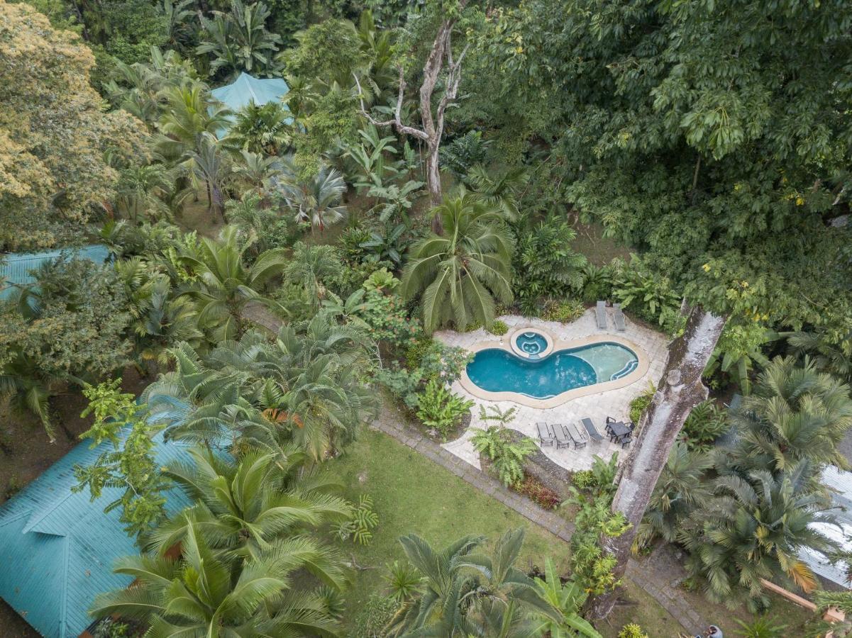 El Nido Jungle Lodge Puerto Viejo de Talamanca Exterior foto