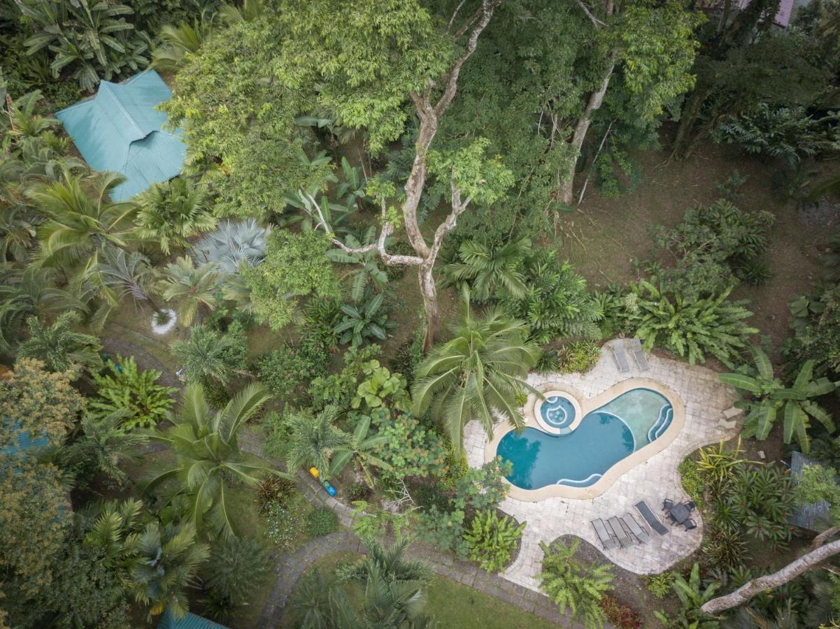 El Nido Jungle Lodge Puerto Viejo de Talamanca Exterior foto