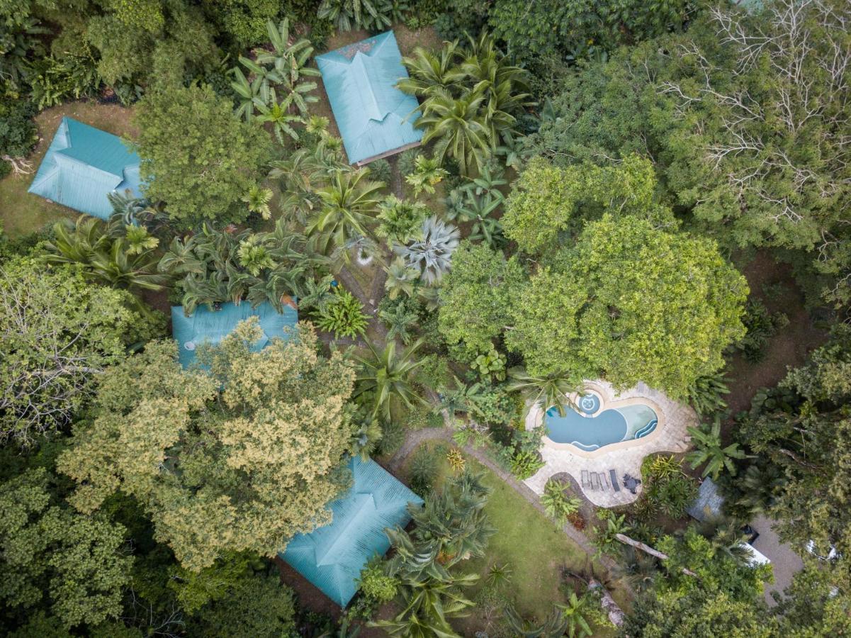El Nido Jungle Lodge Puerto Viejo de Talamanca Exterior foto